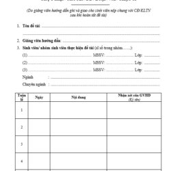 Screenshot 2025 07 12 092619