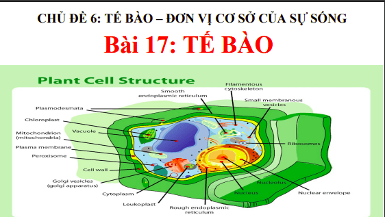 Anh chup man hinh 2025 08 01 120044