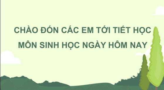 Anh chup man hinh 2025 08 01 122629