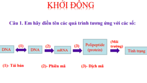 Anh chup man hinh 2025 08 01 133630