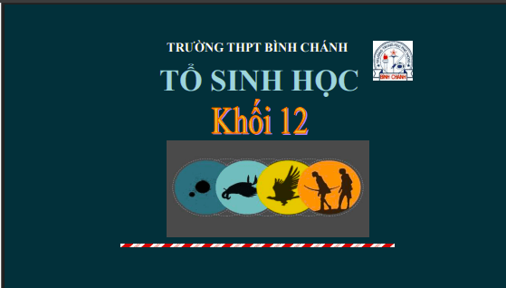 Anh chup man hinh 2025 08 01 182323