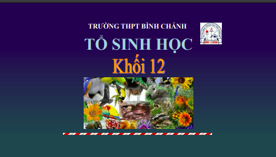 Anh chup man hinh 2025 08 01 182753