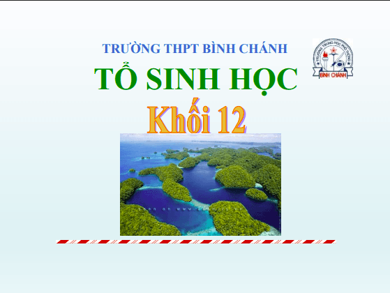 Bài giảng Sinh học lớp 12: Quá trình hình thành quần thể thích nghi và quá trình hình thành loài - Trường THPT Bình Chánh 1 Anh chup man hinh 2025 08 01 184326