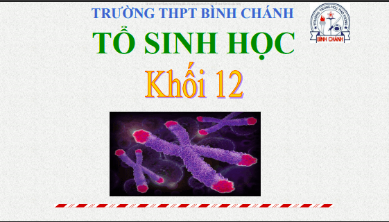 Anh chup man hinh 2025 08 02 011138