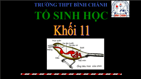Anh chup man hinh 2025 08 02 155556