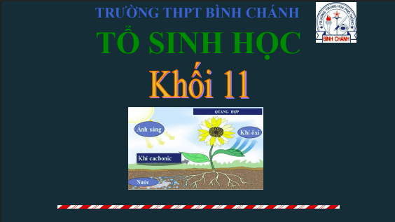 Anh chup man hinh 2025 08 02 160115