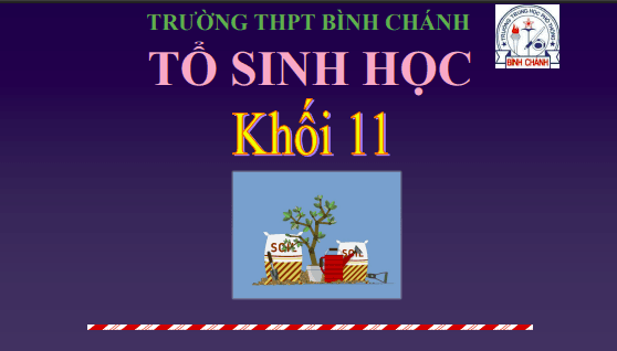 Anh chup man hinh 2025 08 02 161307
