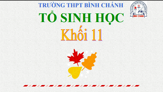 Anh chup man hinh 2025 08 02 173837