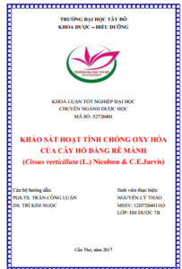 Anh chup man hinh 2025 08 02 182225