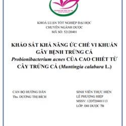 Anh chup man hinh 2025 08 02 182441