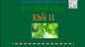 Anh chup man hinh 2025 08 02 193314