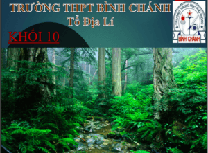 Anh chup man hinh 2025 08 03 135611