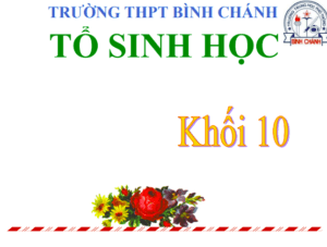 Anh chup man hinh 2025 08 03 140453