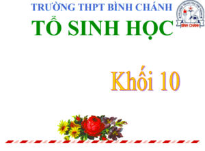 Anh chup man hinh 2025 08 03 140559