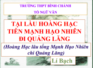 Anh chup man hinh 2025 08 03 195748
