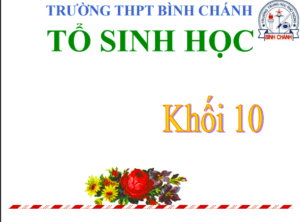 Anh chup man hinh 2025 08 03 200852