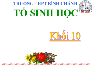 Anh chup man hinh 2025 08 03 201500