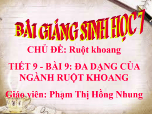 Anh chup man hinh 2025 08 03 204353