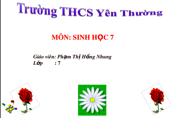 Anh chup man hinh 2025 08 03 210547