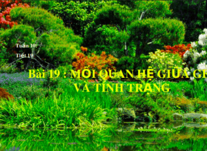 Anh chup man hinh 2025 08 04 103020