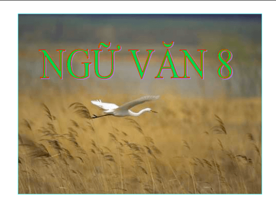Anh chup man hinh 2025 08 04 103455
