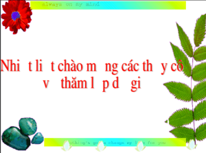 Anh chup man hinh 2025 08 04 104823