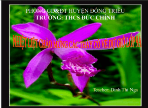 Anh chup man hinh 2025 08 04 105324