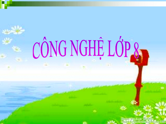 Anh chup man hinh 2025 08 04 124313