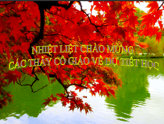 Anh chup man hinh 2025 08 04 130556