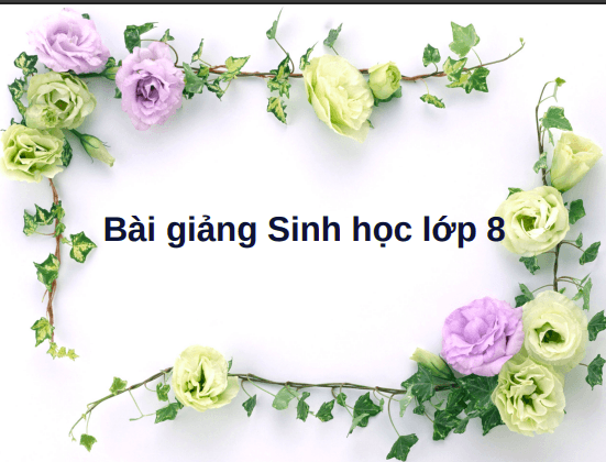 Anh chup man hinh 2025 08 04 133218