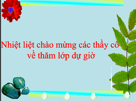 Bài giảng Đại số lớp 6 - Tiết 23: Luyện tập 1 Anh chup man hinh 2025 08 04 190338