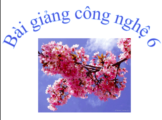 Anh chup man hinh 2025 08 05 130323