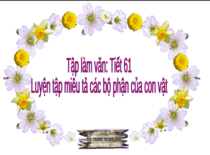 Anh chup man hinh 2025 08 05 133423