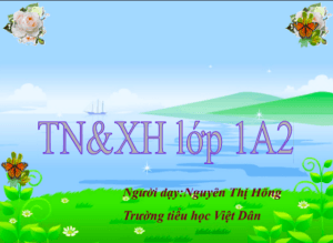 Anh chup man hinh 2025 08 05 182344