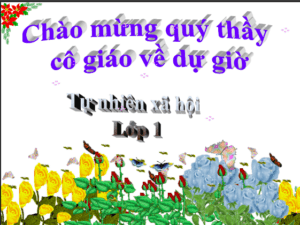 Anh chup man hinh 2025 08 05 182501