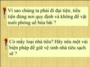 Anh chup man hinh 2025 08 05 183106