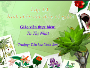Anh chup man hinh 2025 08 05 185804