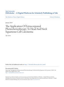 Screenshot 2025 08 04 014145