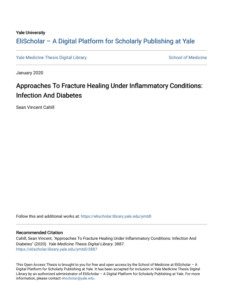 Screenshot 2025 08 04 014322