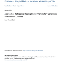 Screenshot 2025 08 04 014322