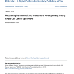 Screenshot 2025 08 04 014559