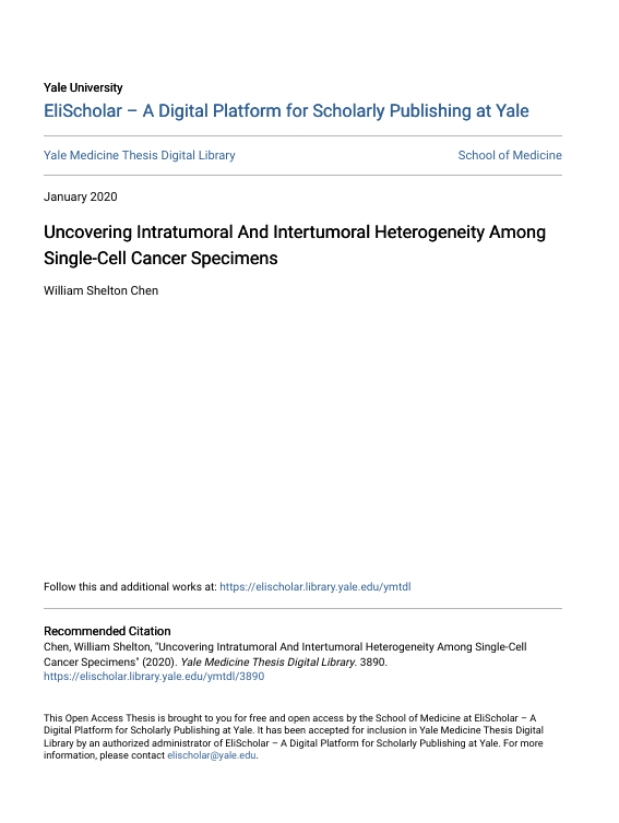 Screenshot 2025 08 04 014559