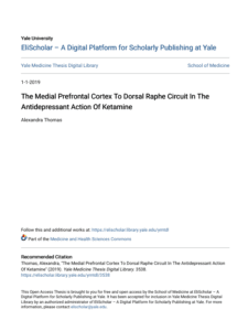 Screenshot 2025 08 04 014916