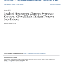 Screenshot 2025 08 04 015549