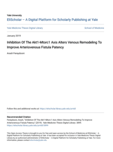 Screenshot 2025 08 04 015732