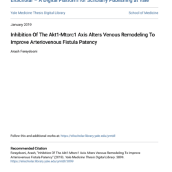 Screenshot 2025 08 04 015732