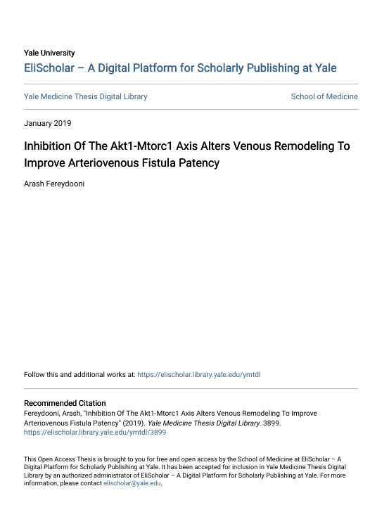 Screenshot 2025 08 04 015732