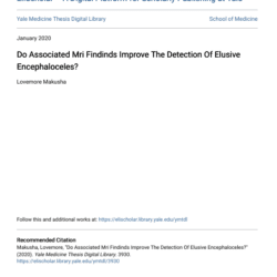 Screenshot 2025 08 04 020017