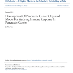 Screenshot 2025 08 04 020830