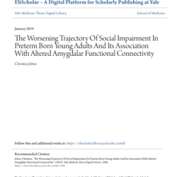 Screenshot 2025 08 04 021952